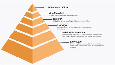 best entry level sales programs.